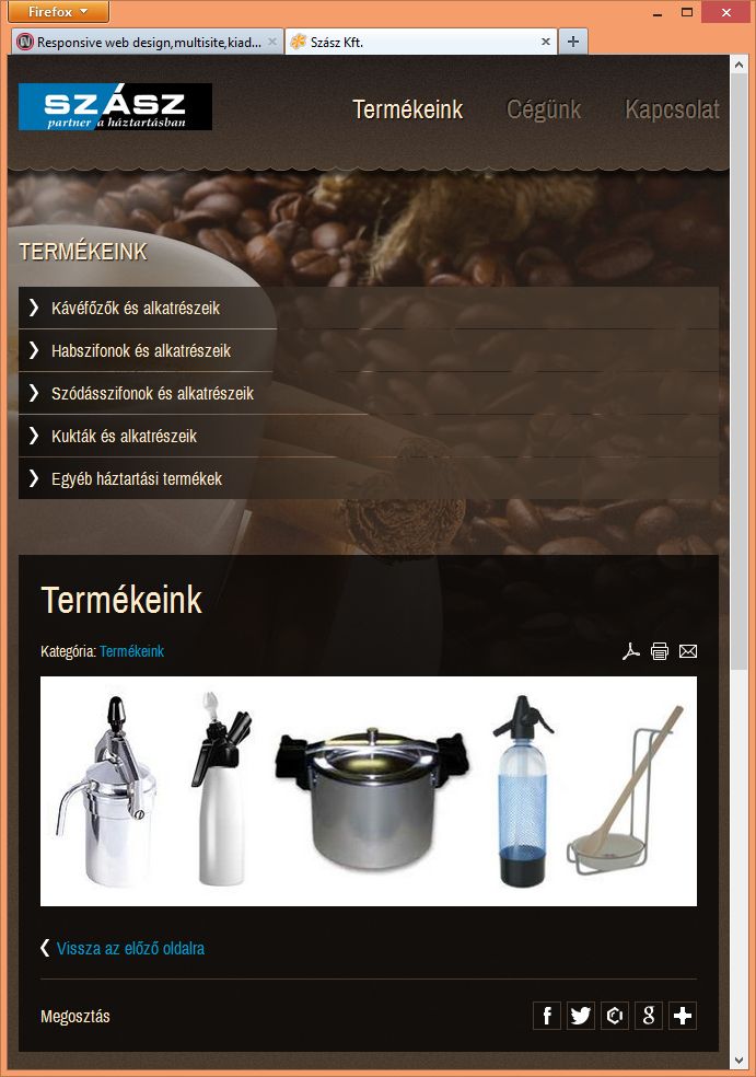 Szász Kft. weboldalának tábla képe